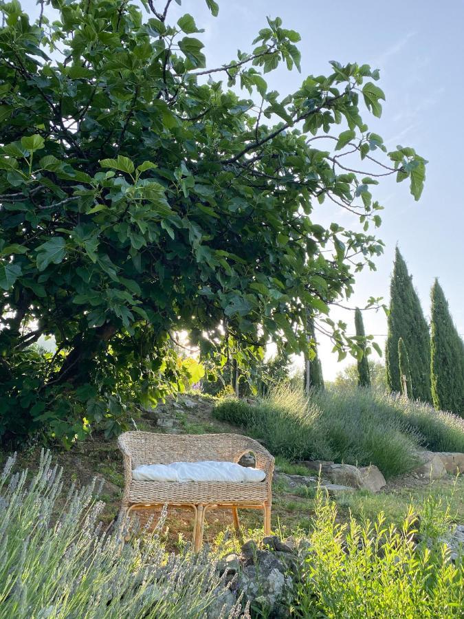 Villa Montanare Cortone Extérieur photo